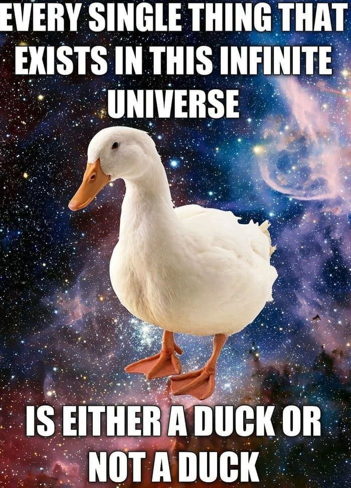 Every single thing that exists in this infinite universe is either a duck or not a duck